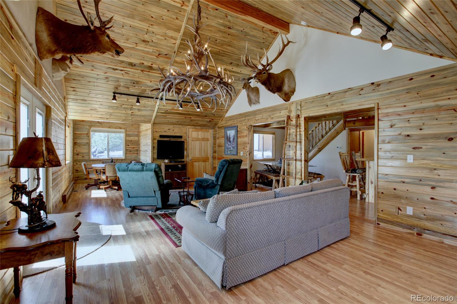 MLS Image #6 for 530  red feather road,cotopaxi, Colorado