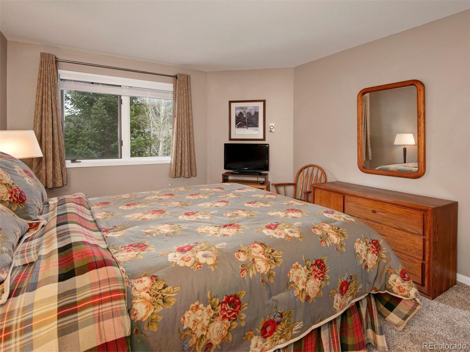 MLS Image #11 for 1653  oro grande drive,keystone, Colorado