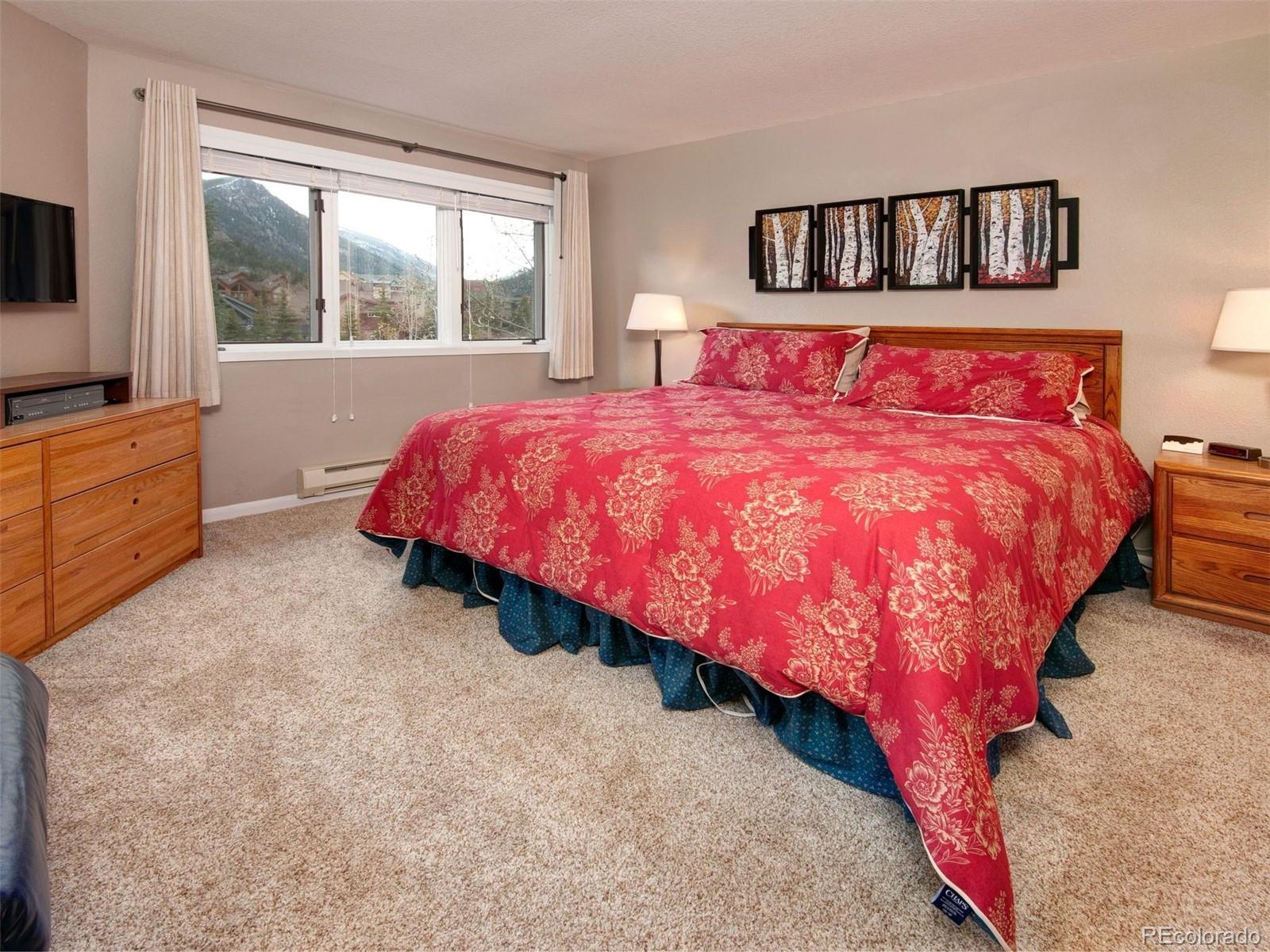 MLS Image #14 for 1653  oro grande drive,keystone, Colorado