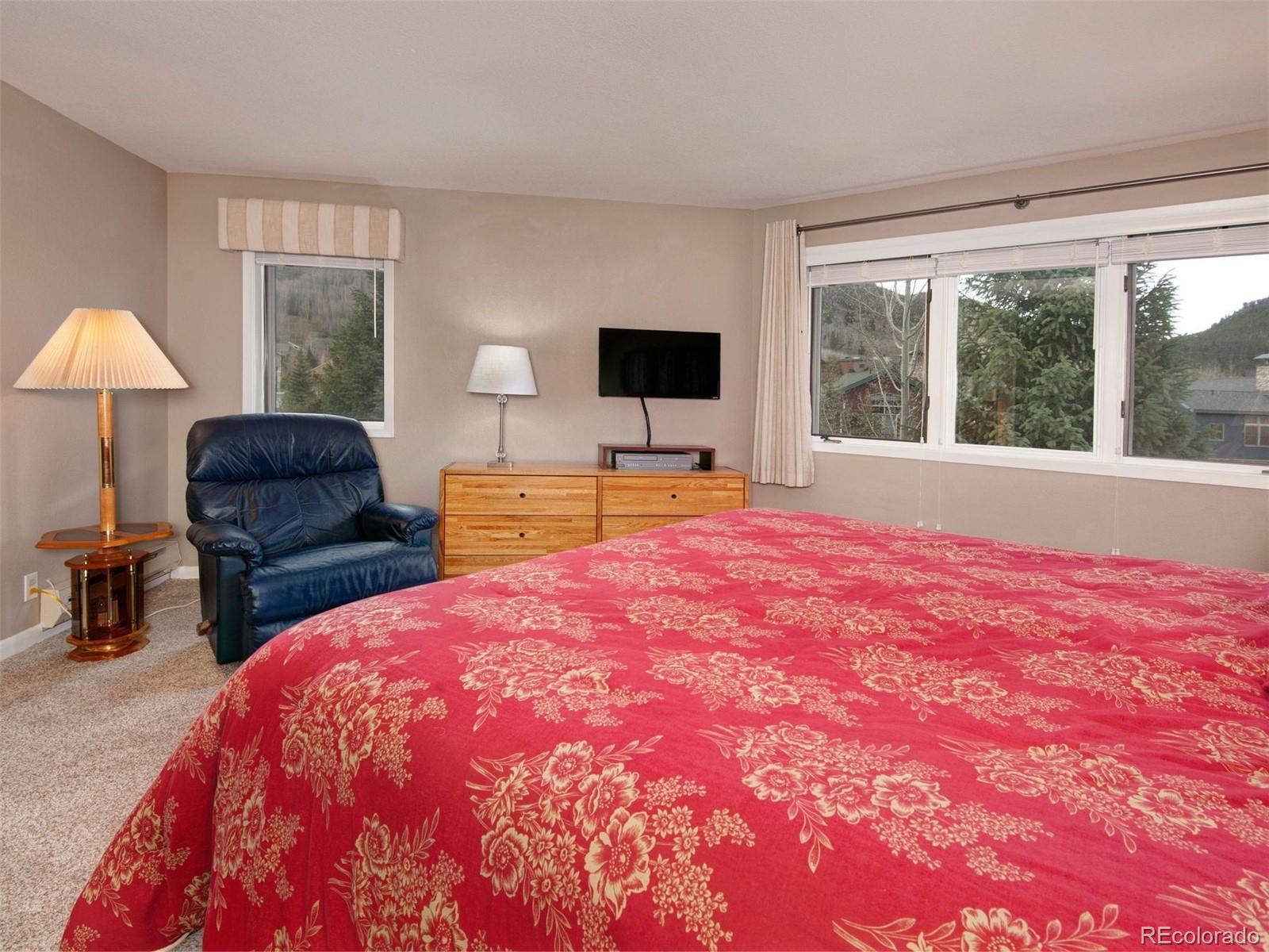 MLS Image #16 for 1653  oro grande drive,keystone, Colorado