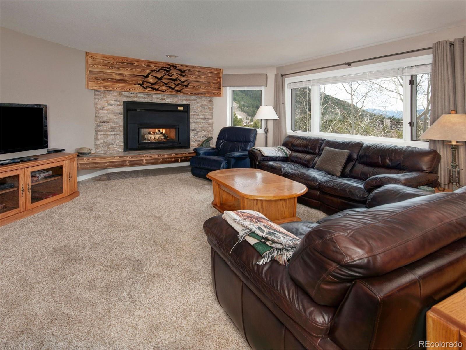 MLS Image #3 for 1653  oro grande drive,keystone, Colorado
