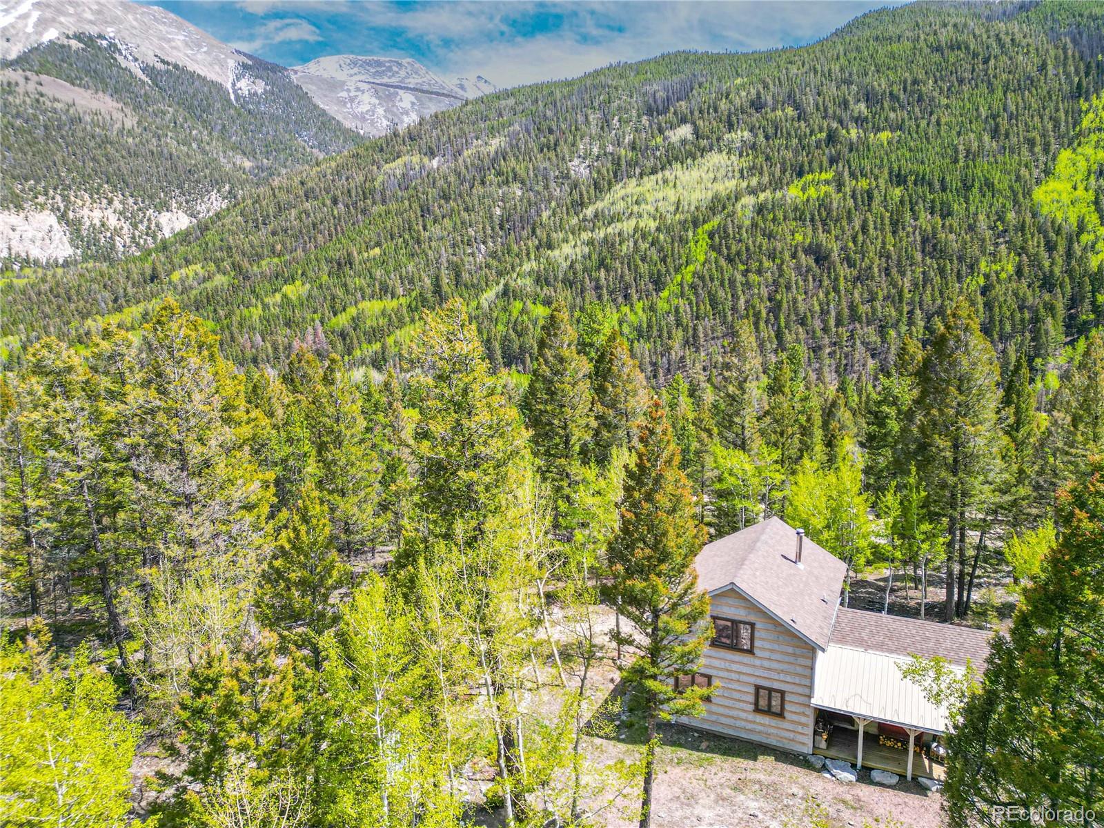 MLS Image #1 for 22590  county road 292a ,nathrop, Colorado