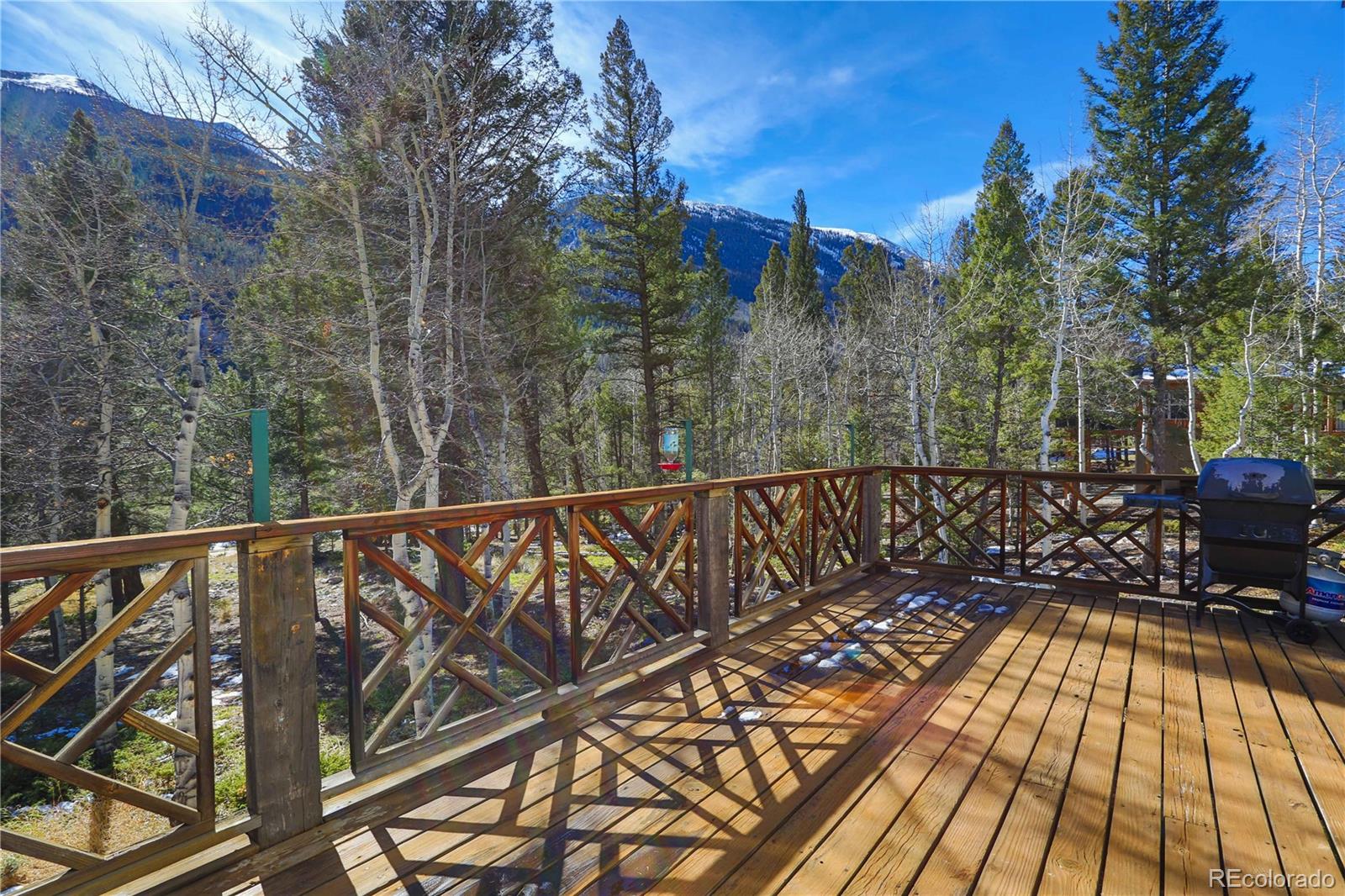 MLS Image #36 for 22590  county road 292a ,nathrop, Colorado