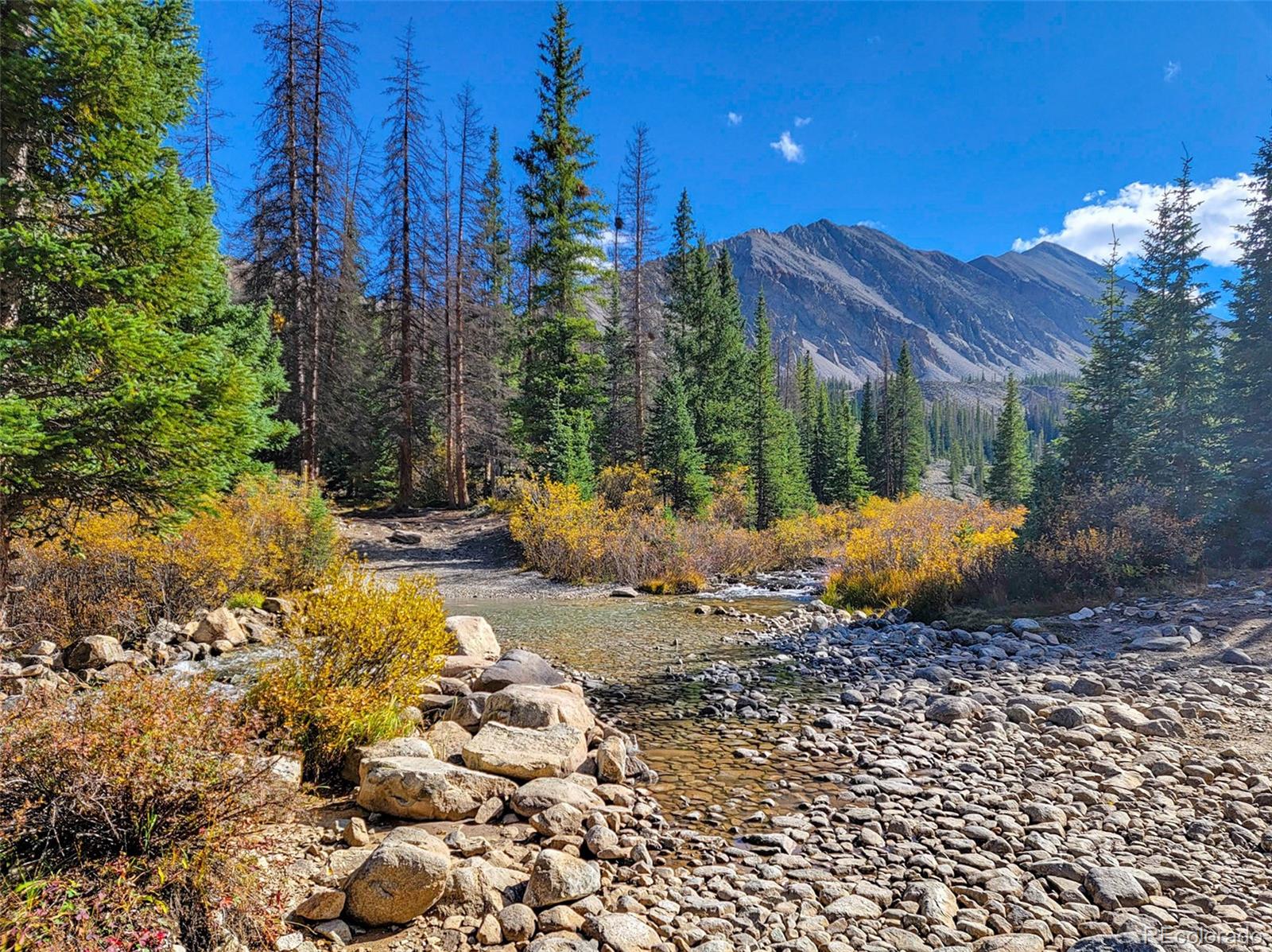 MLS Image #39 for 22590  county road 292a ,nathrop, Colorado