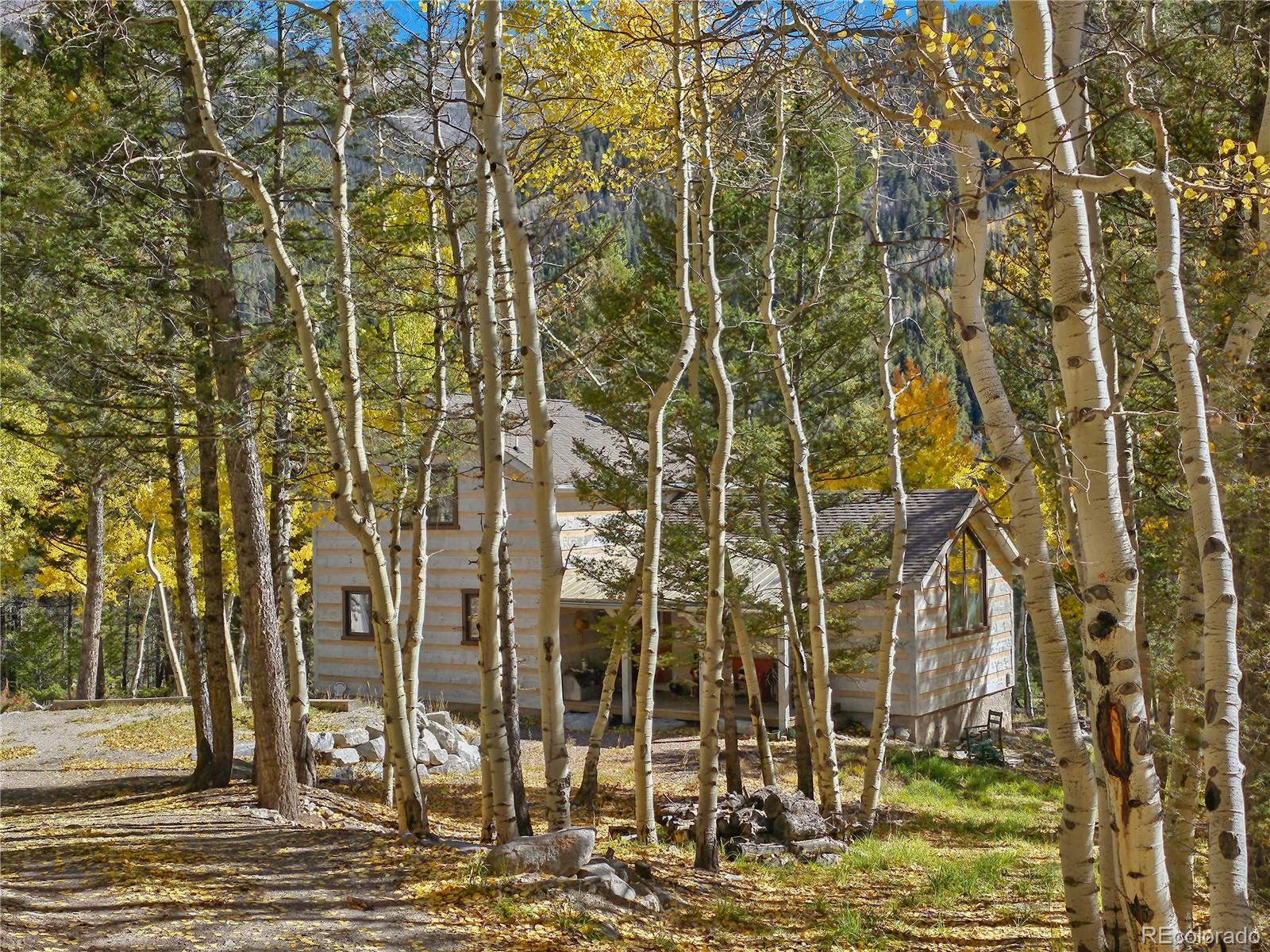 MLS Image #43 for 22590  county road 292a ,nathrop, Colorado