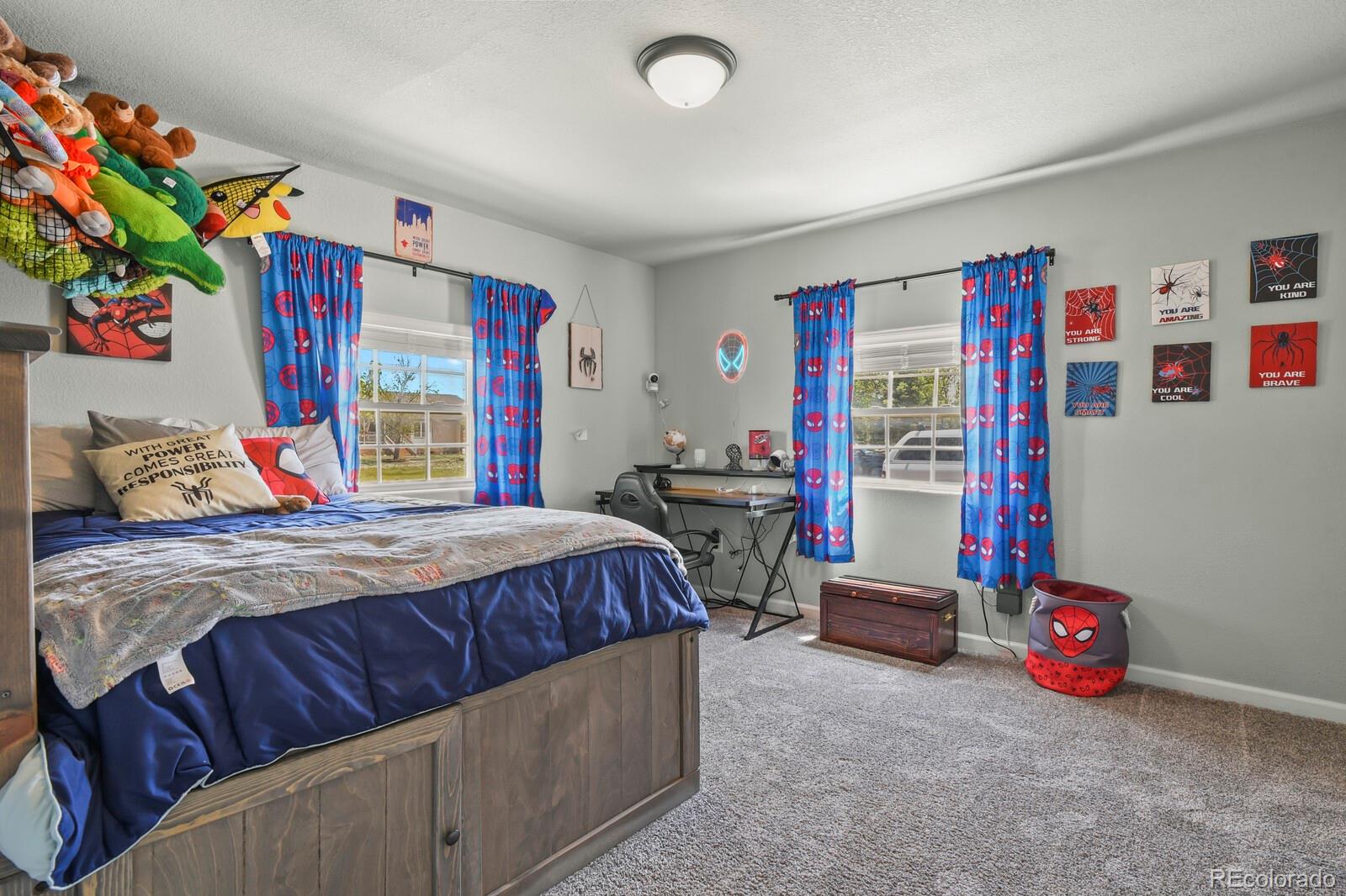 MLS Image #22 for 481 s tejon avenue,pueblo, Colorado