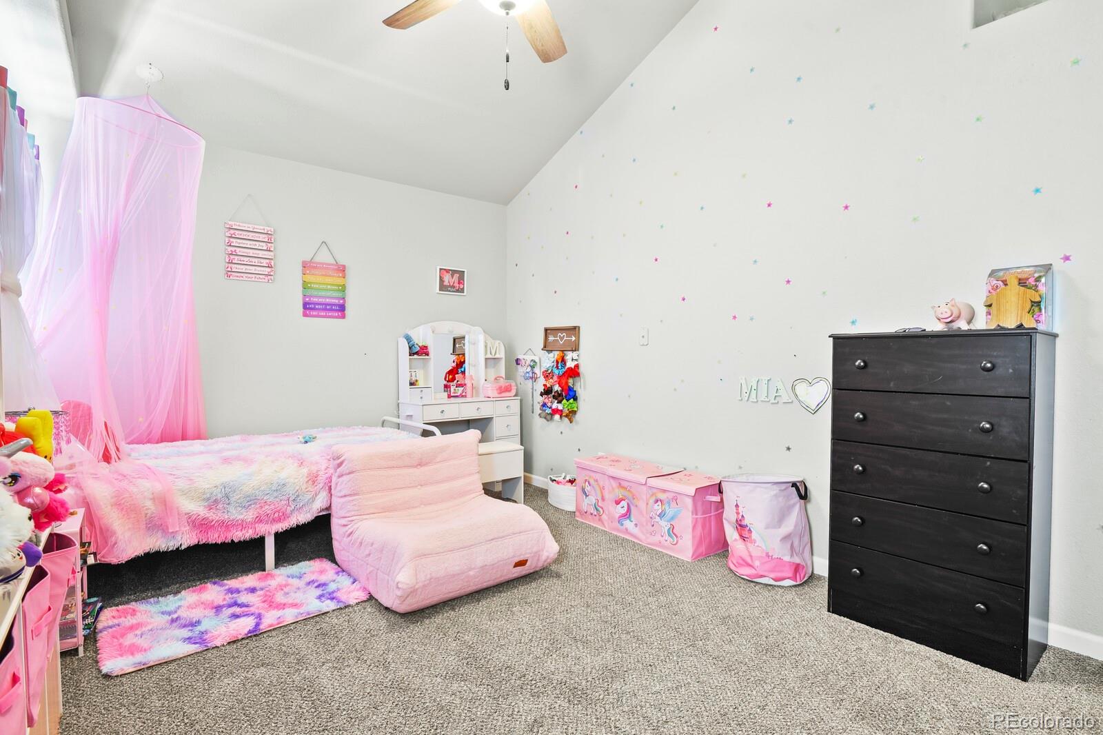 MLS Image #33 for 481 s tejon avenue,pueblo, Colorado