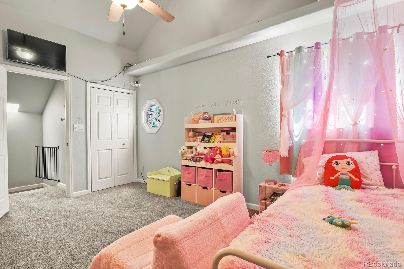 MLS Image #34 for 481 s tejon avenue,pueblo, Colorado