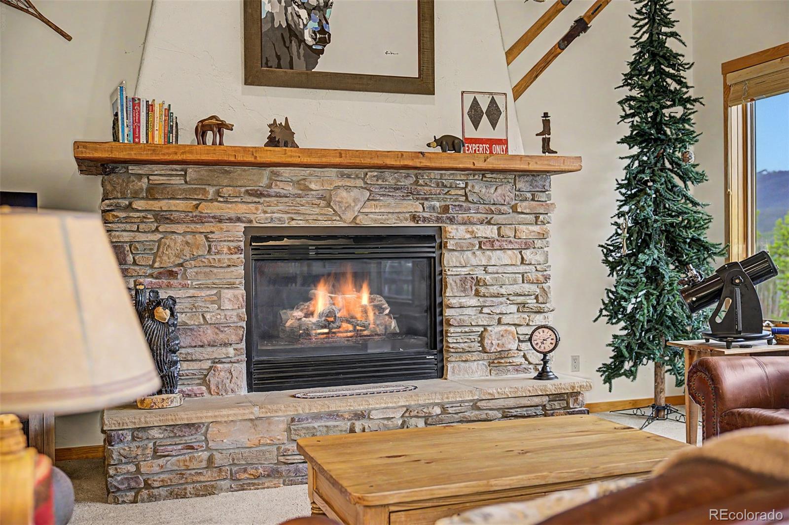 MLS Image #7 for 51  mulligan street,fraser, Colorado