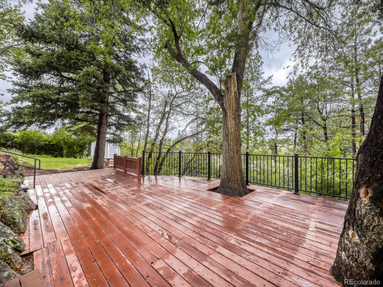 MLS Image #5 for 471  high drive,castle rock, Colorado