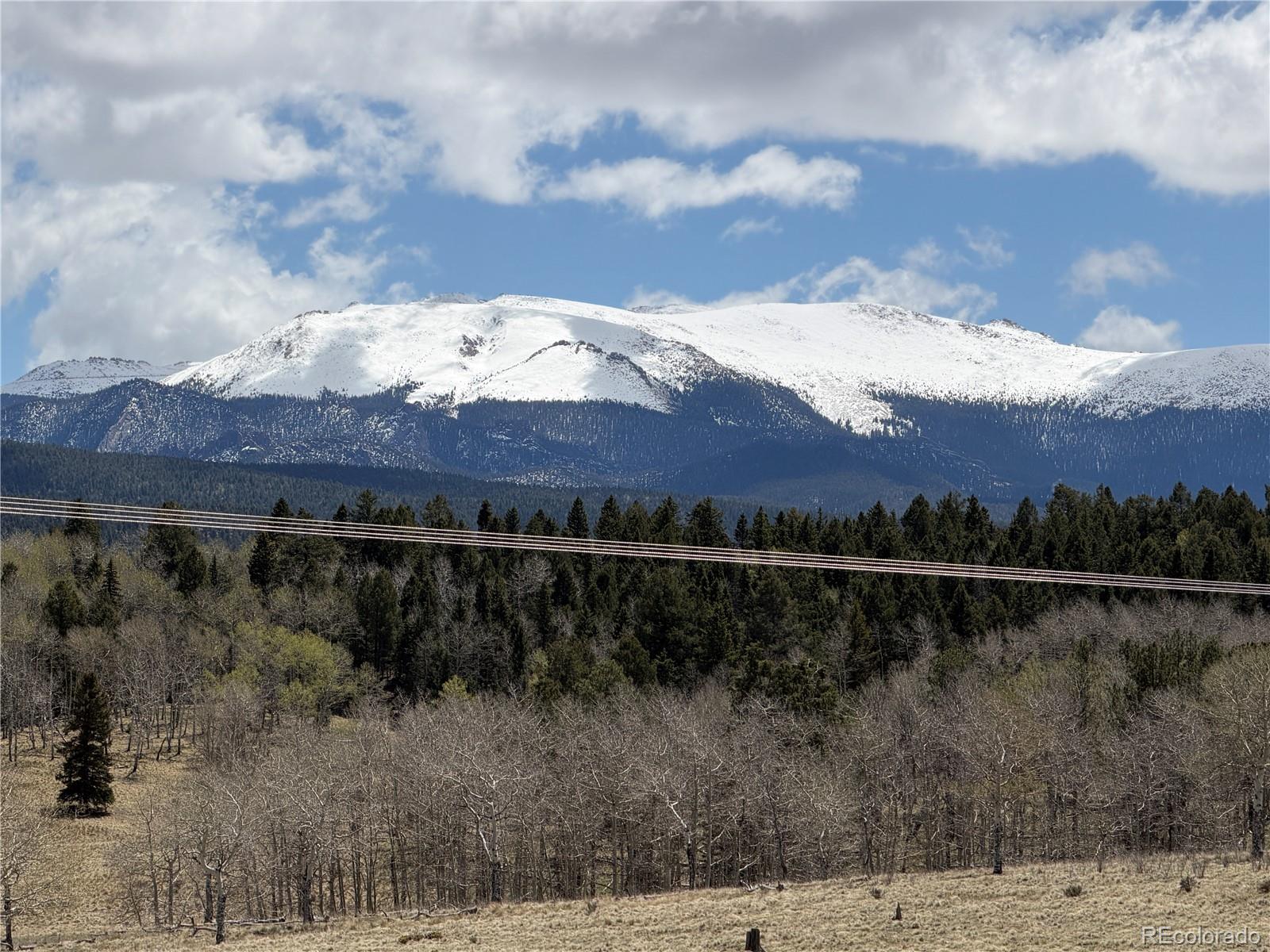 MLS Image #2 for 538  friar tuck drive,divide, Colorado
