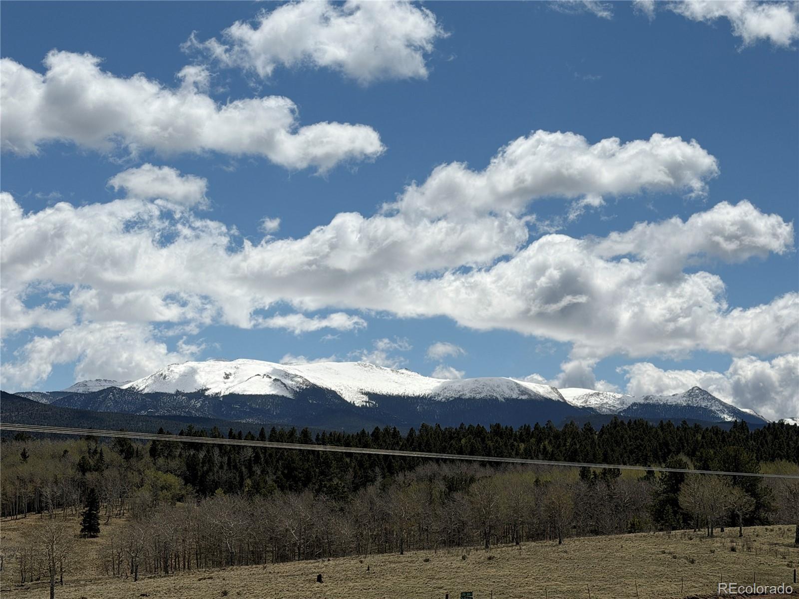 MLS Image #29 for 538  friar tuck drive,divide, Colorado