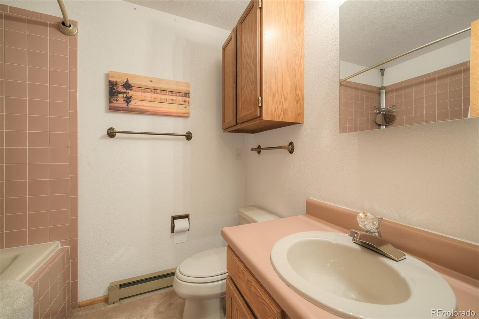 MLS Image #29 for 372  cr-442 ,grand lake, Colorado