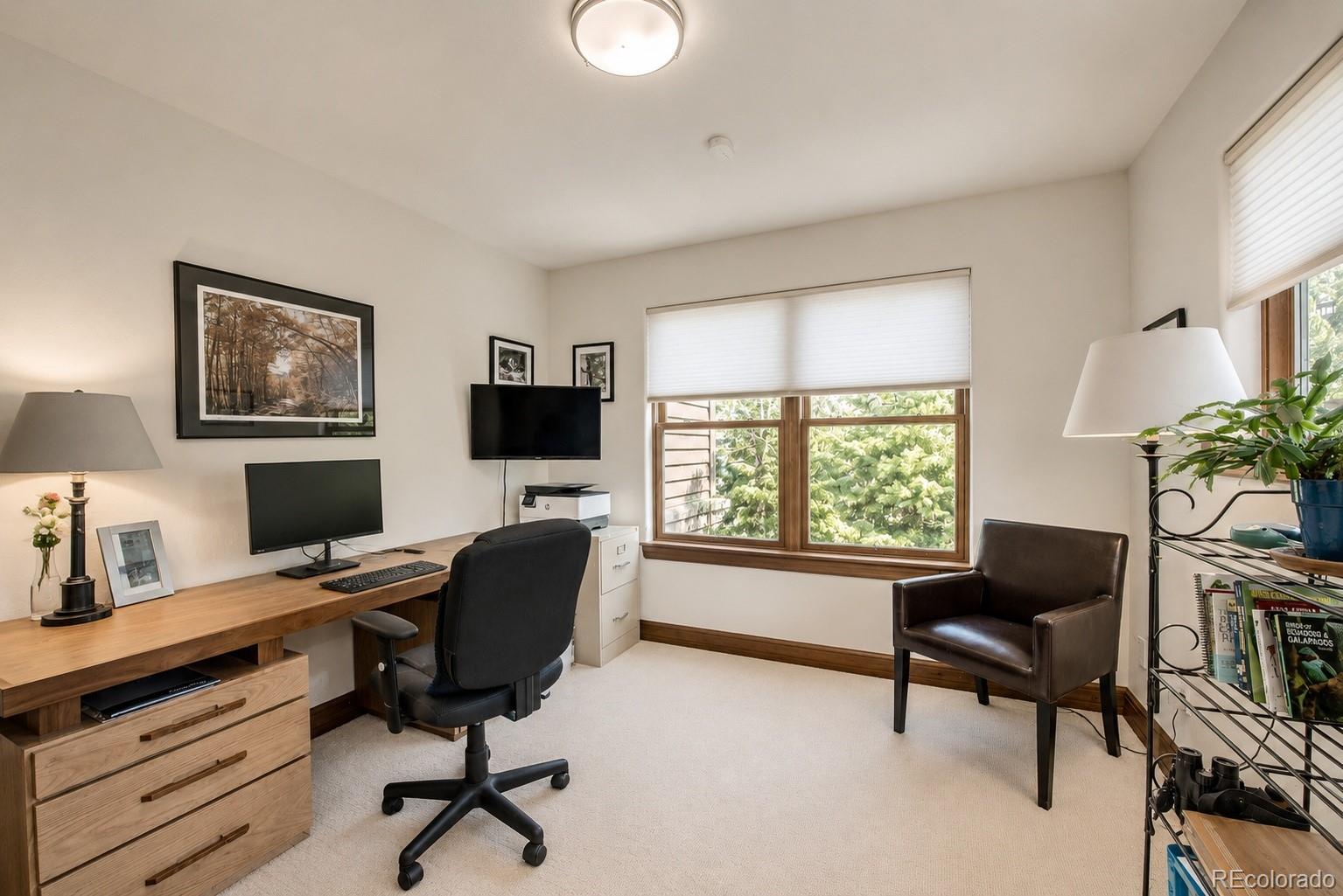MLS Image #14 for 60  linden lane ,breckenridge, Colorado