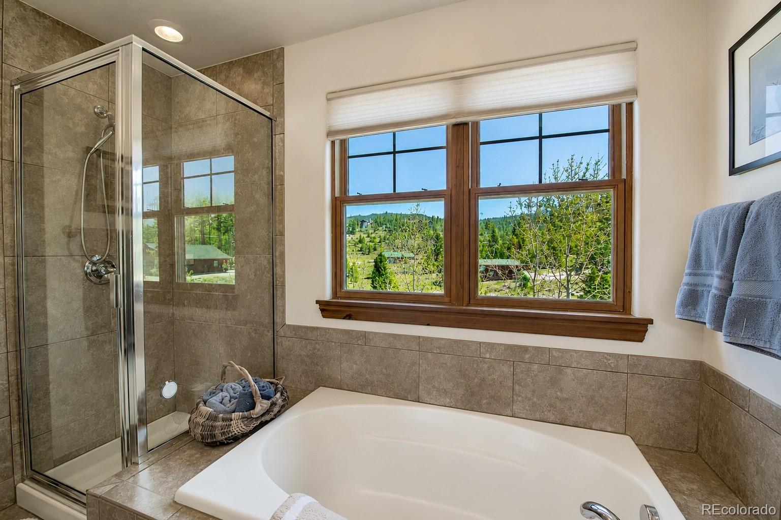 MLS Image #7 for 60  linden lane ,breckenridge, Colorado