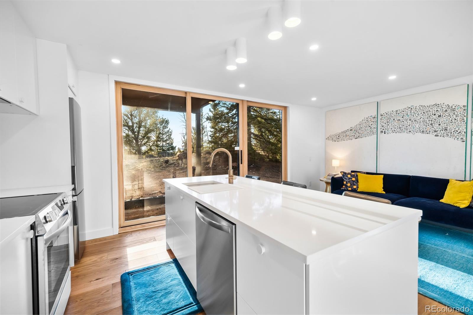 MLS Image #11 for 491  shoshone drive,como, Colorado