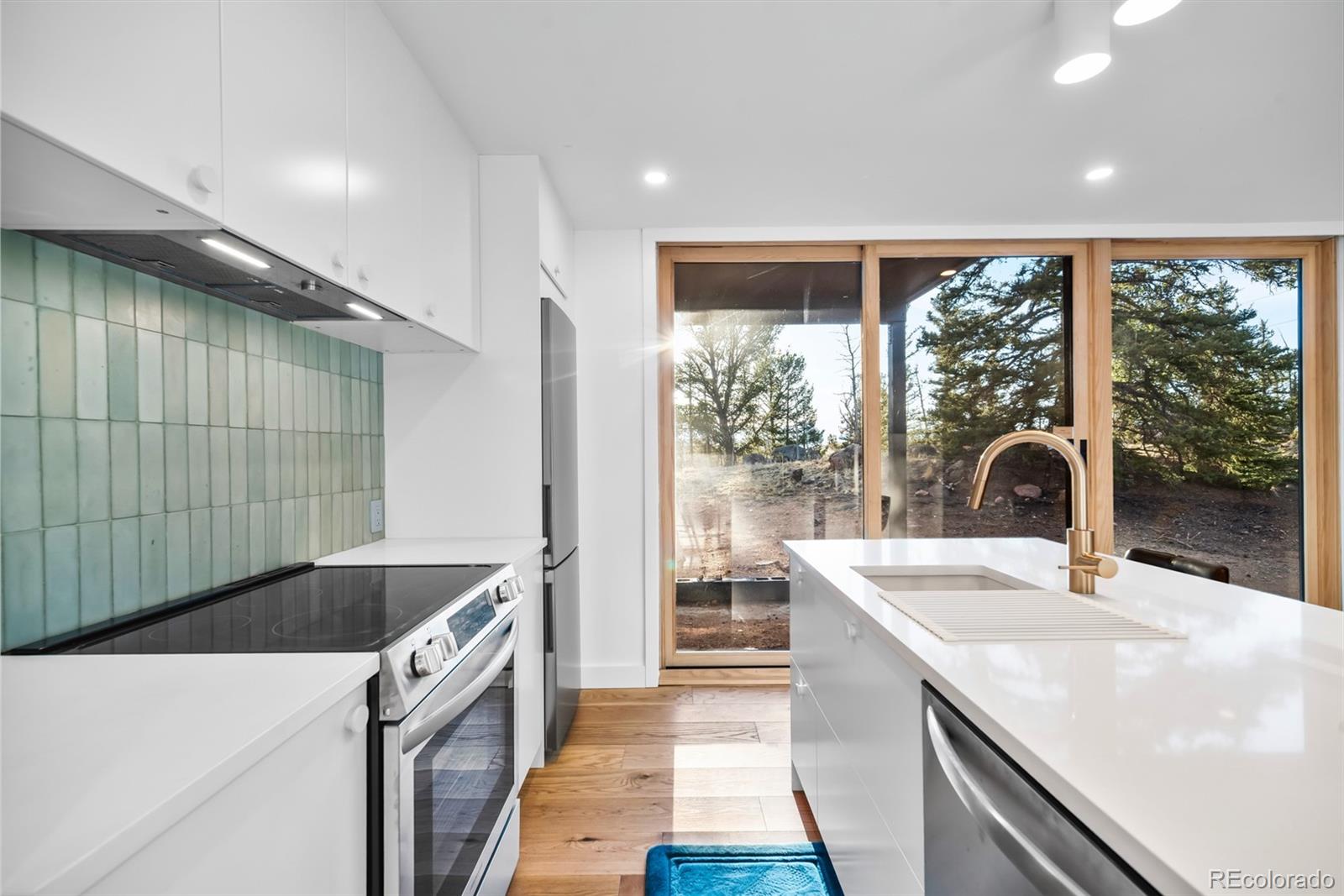 MLS Image #12 for 491  shoshone drive,como, Colorado