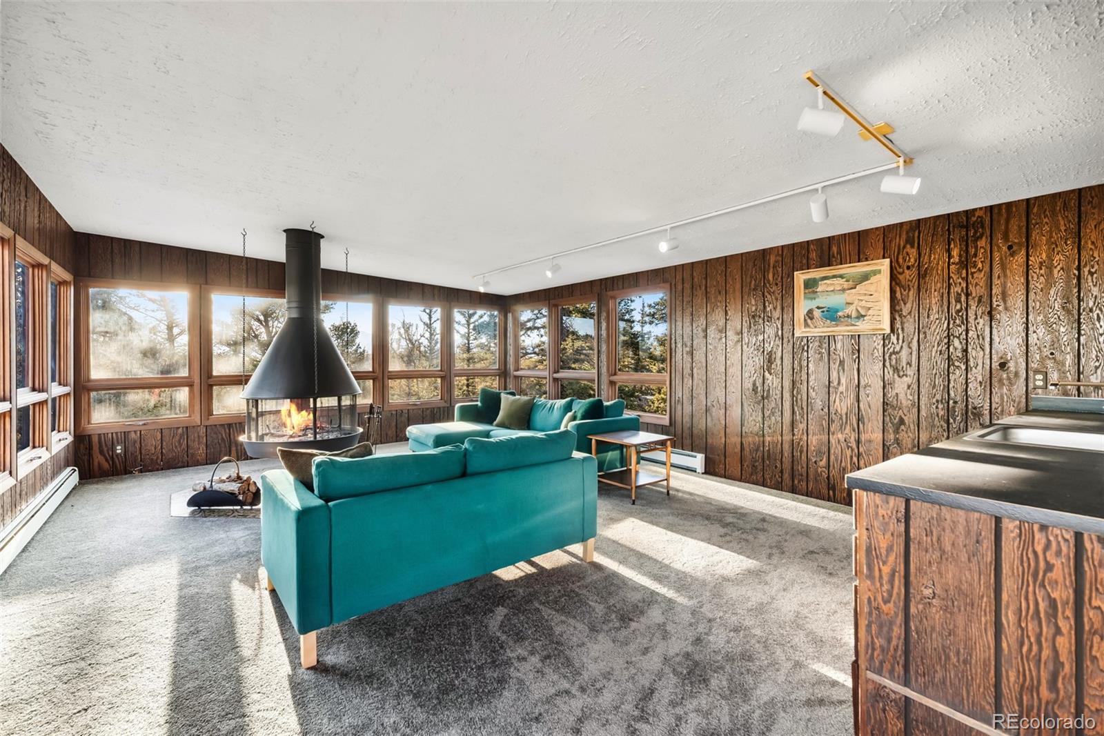 MLS Image #25 for 491  shoshone drive,como, Colorado