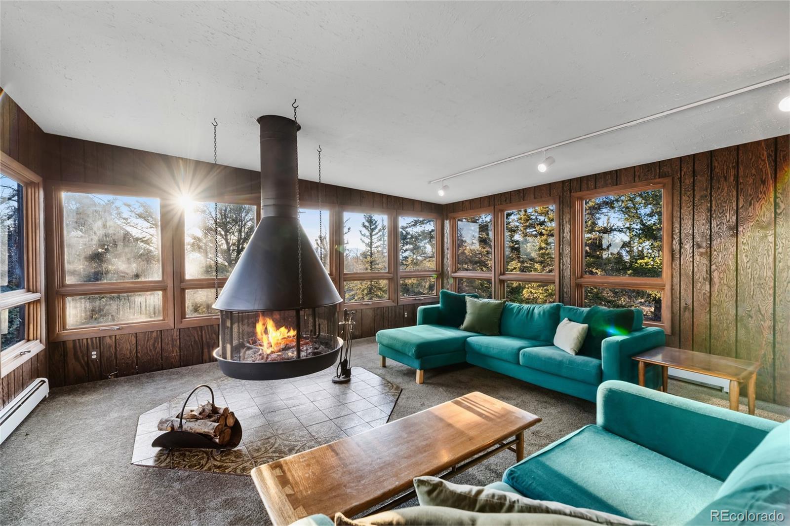 MLS Image #27 for 491  shoshone drive,como, Colorado