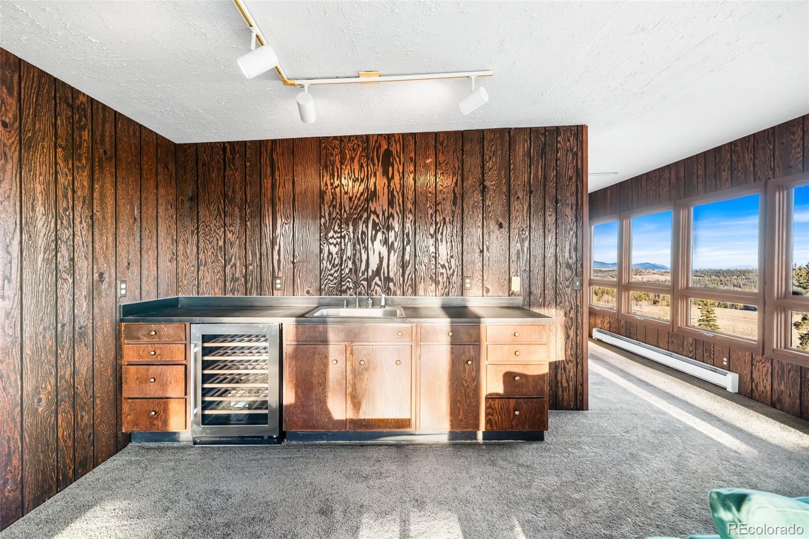 MLS Image #28 for 491  shoshone drive,como, Colorado