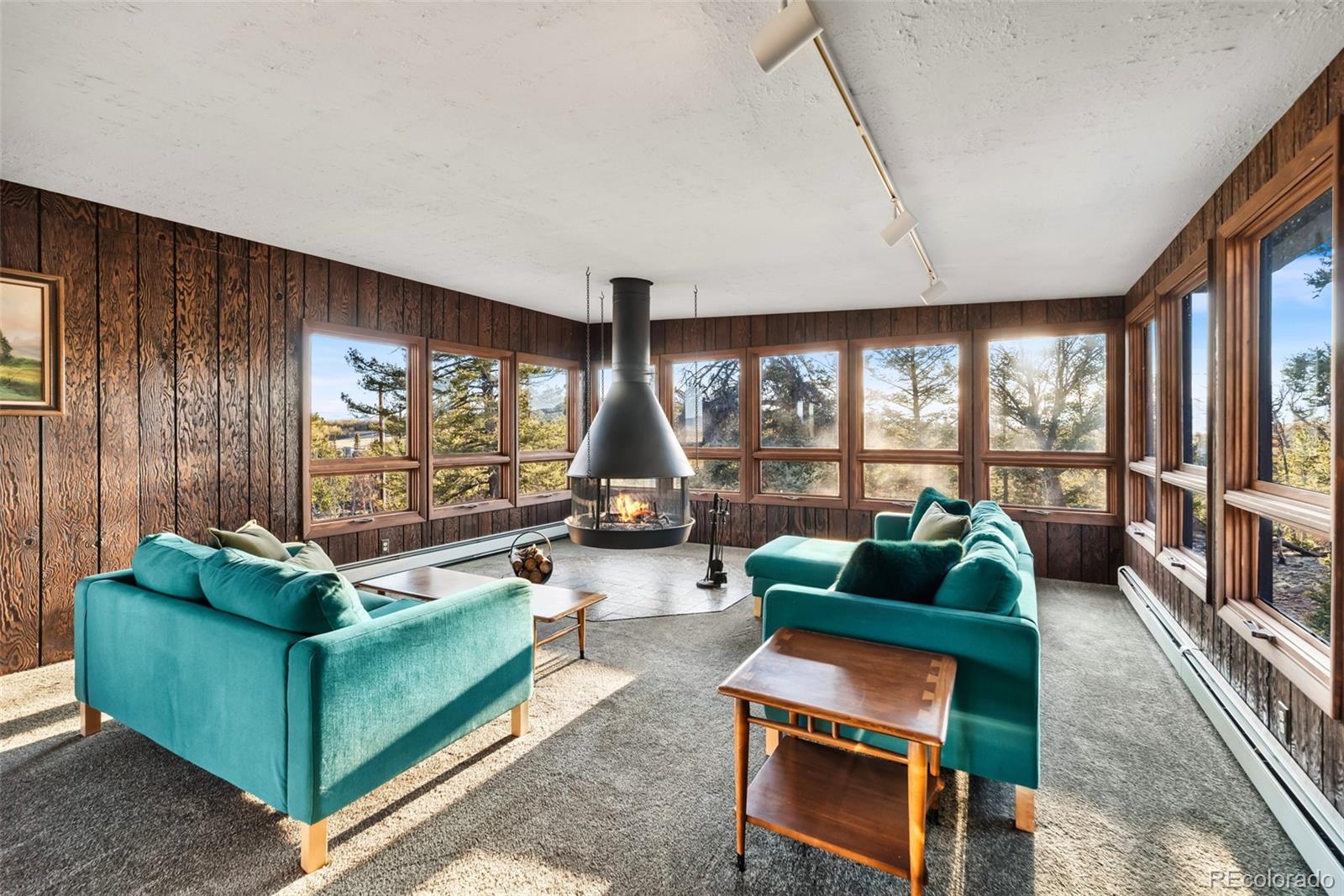 MLS Image #3 for 491  shoshone drive,como, Colorado