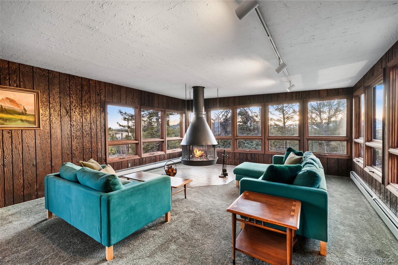MLS Image #30 for 491  shoshone drive,como, Colorado