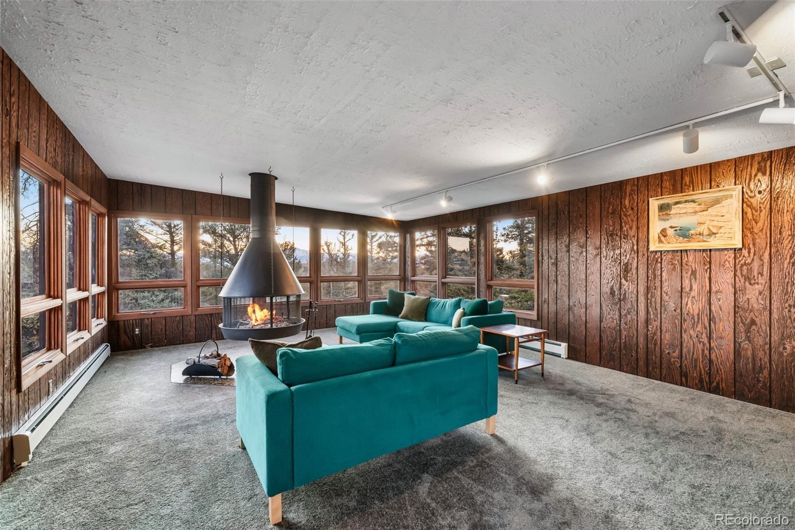 MLS Image #32 for 491  shoshone drive,como, Colorado