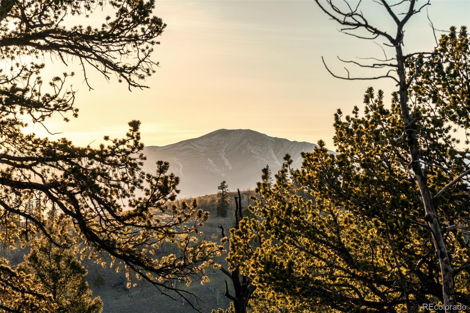 MLS Image #39 for 491  shoshone drive,como, Colorado