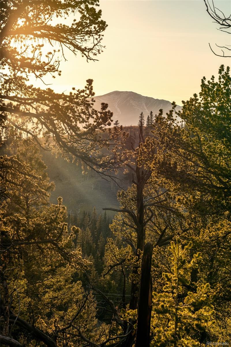 MLS Image #40 for 491  shoshone drive,como, Colorado