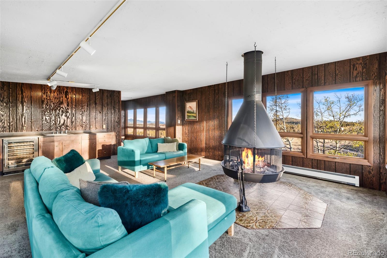 MLS Image #42 for 491  shoshone drive,como, Colorado