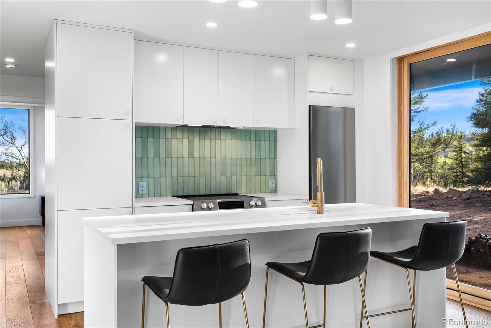 MLS Image #6 for 491  shoshone drive,como, Colorado