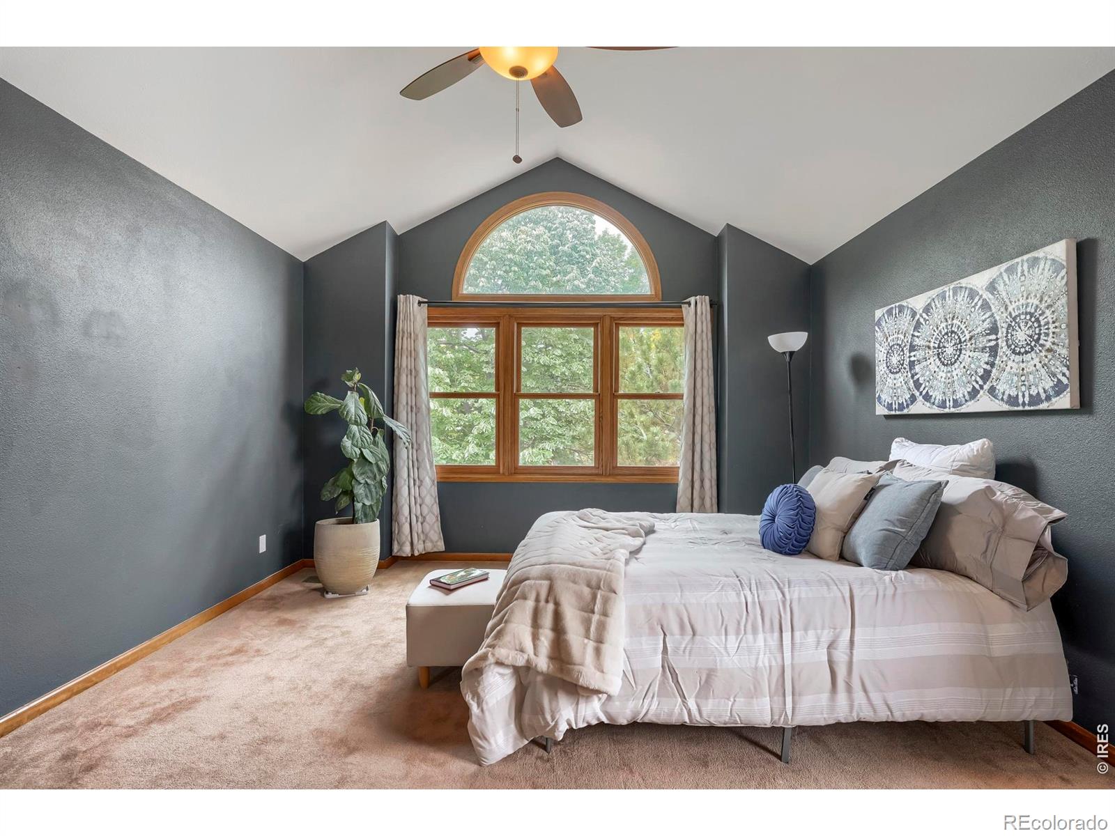 MLS Image #30 for 13348  downing street,thornton, Colorado