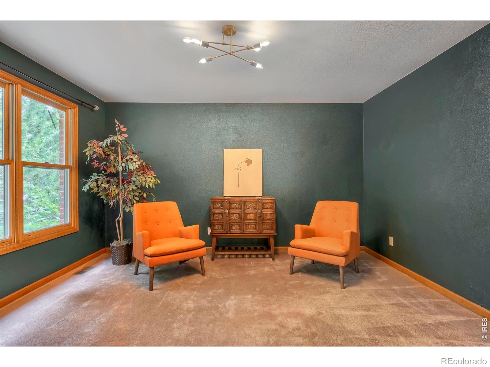 MLS Image #6 for 13348  downing street,thornton, Colorado