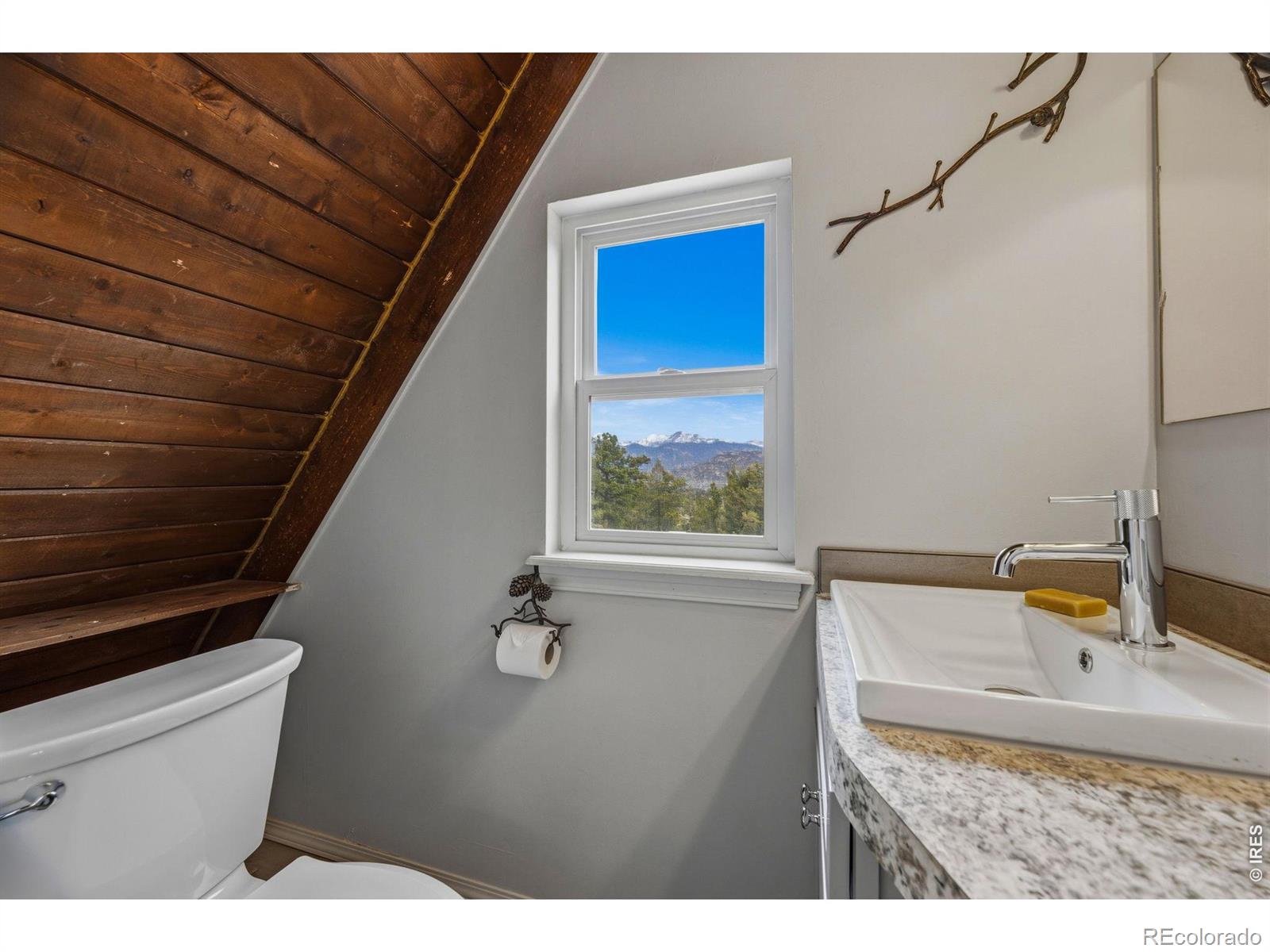 MLS Image #20 for 1637  black squirrel drive,estes park, Colorado