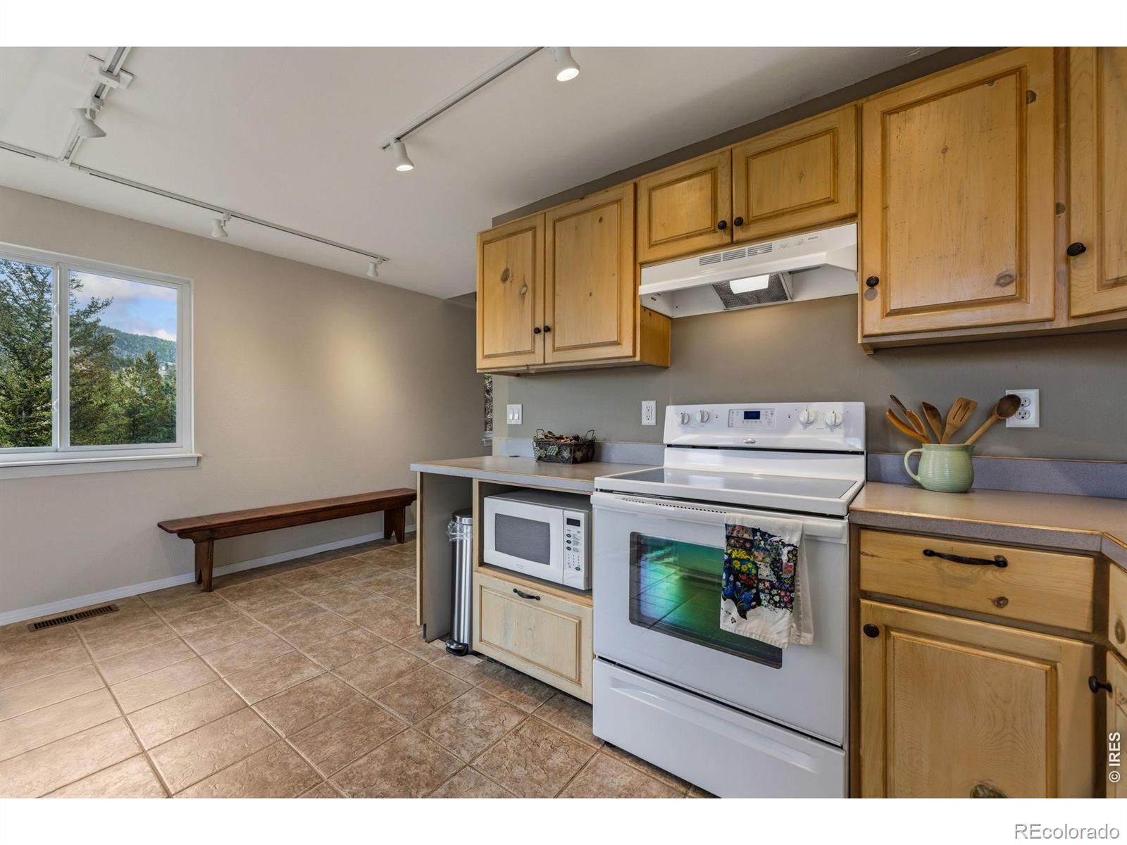 MLS Image #8 for 1637  black squirrel drive,estes park, Colorado