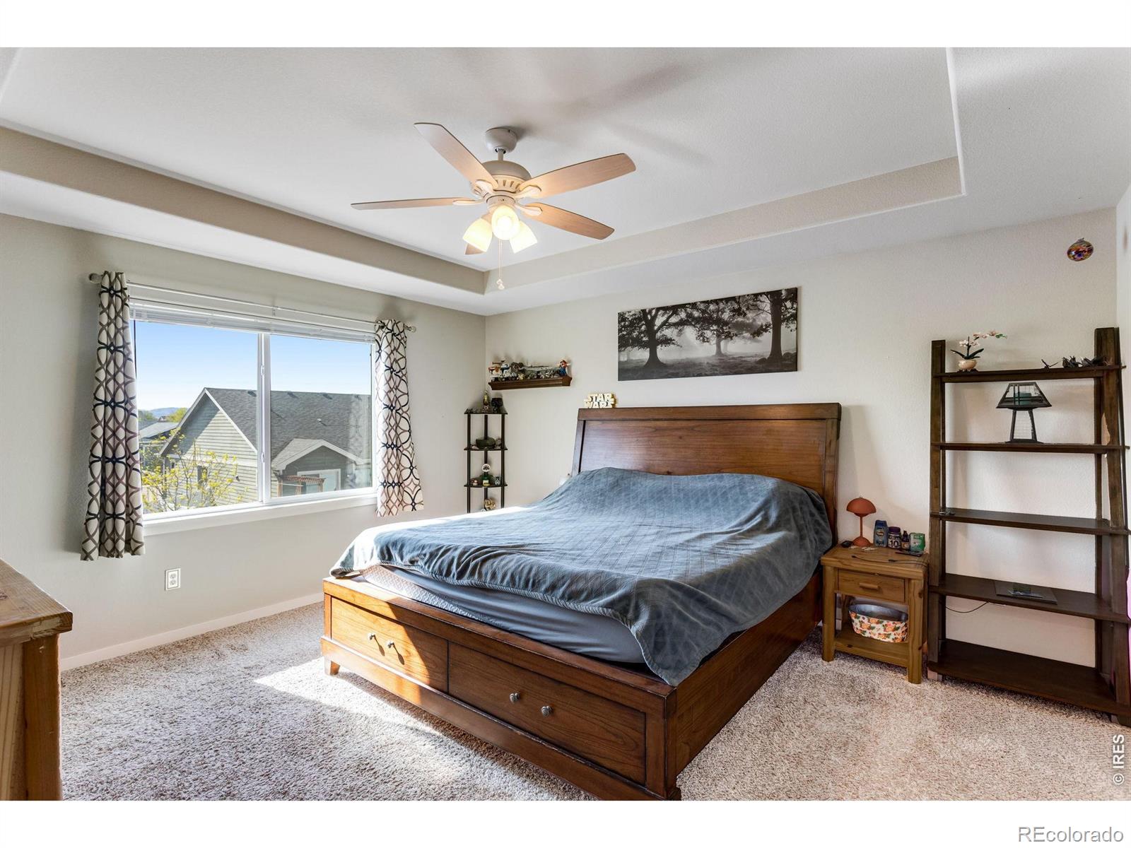 MLS Image #19 for 6913  pettigrew street,wellington, Colorado
