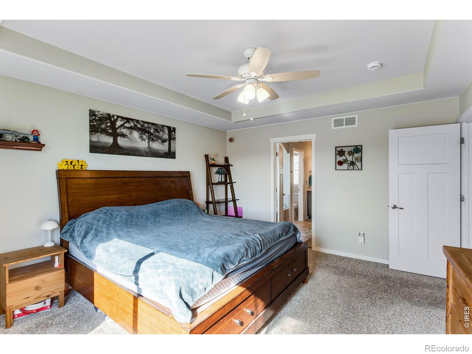 MLS Image #20 for 6913  pettigrew street,wellington, Colorado