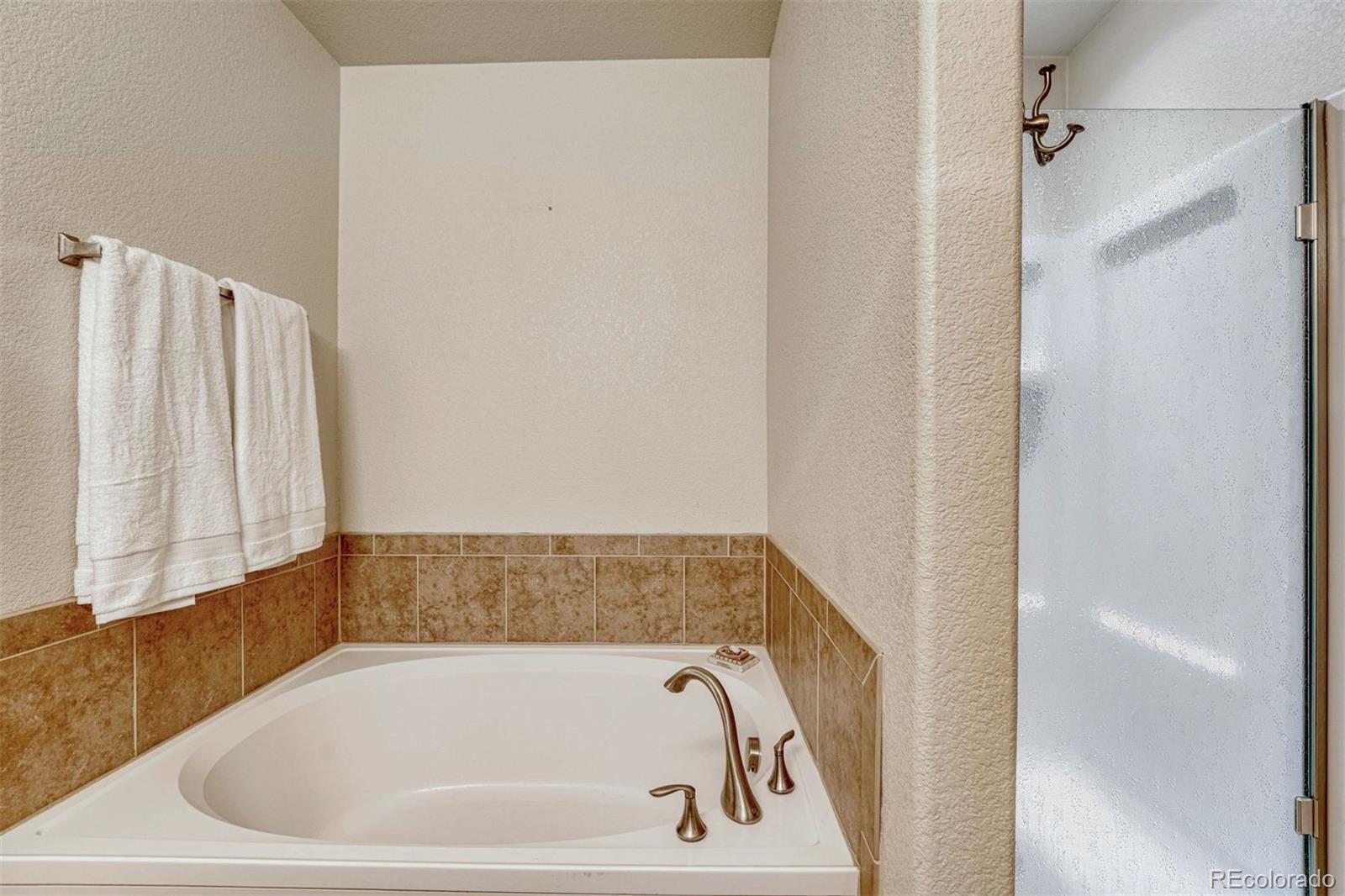 MLS Image #10 for 2404  shady aspen drive,colorado springs, Colorado
