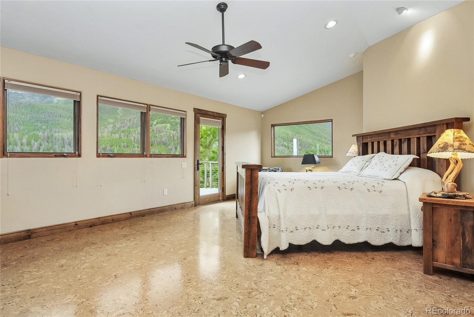 MLS Image #22 for 30043  creek run ,buena vista, Colorado