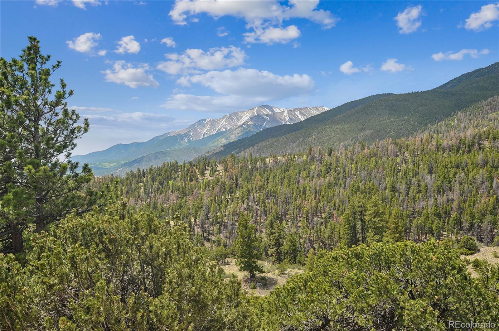 MLS Image #40 for 30043  creek run ,buena vista, Colorado
