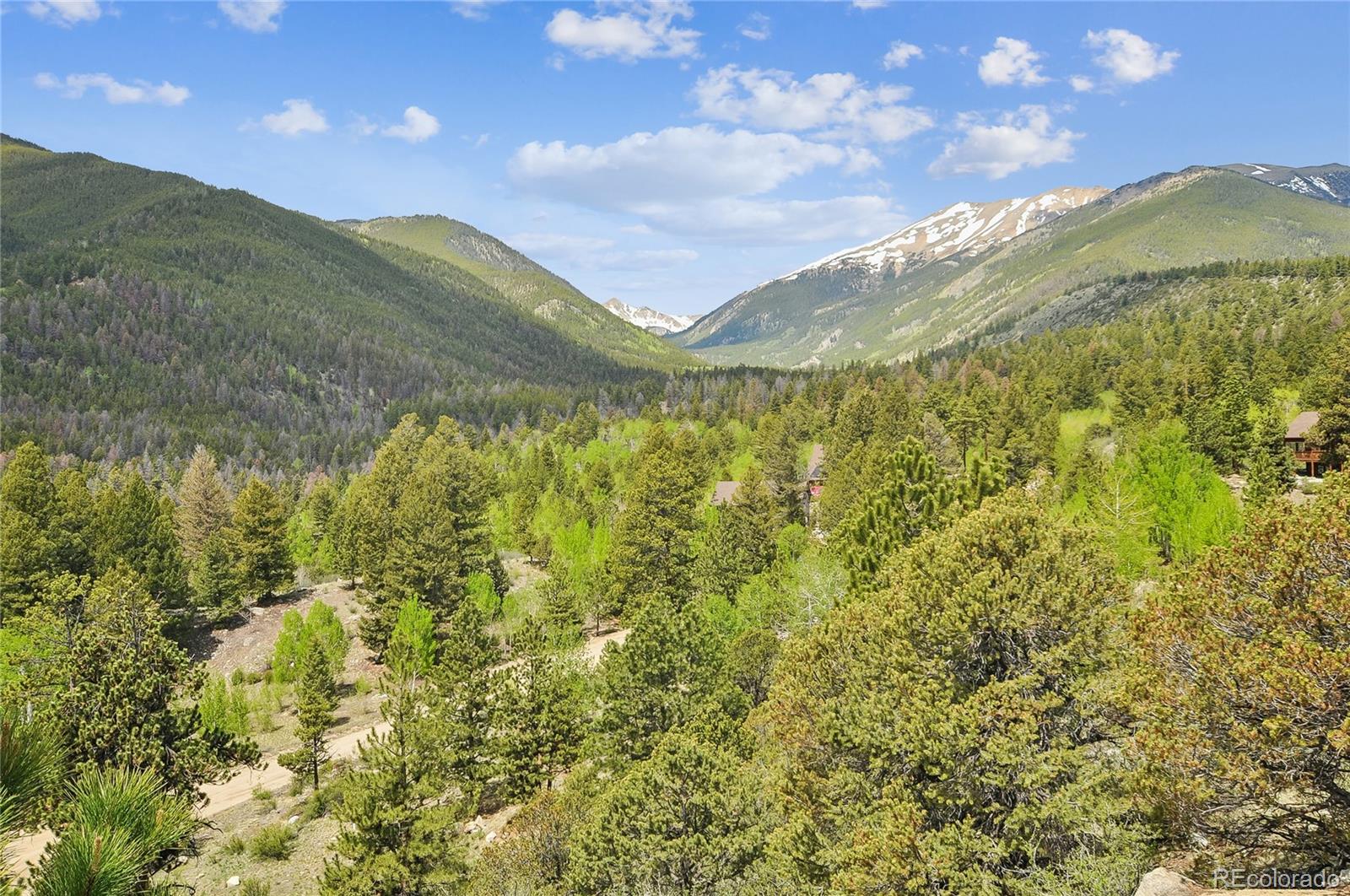 MLS Image #41 for 30043  creek run ,buena vista, Colorado