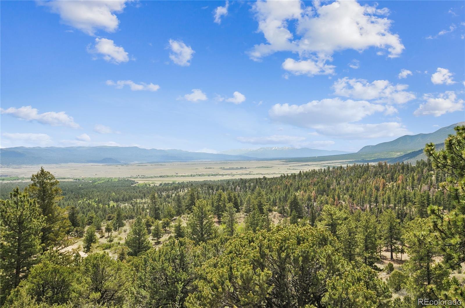 MLS Image #42 for 30043  creek run ,buena vista, Colorado