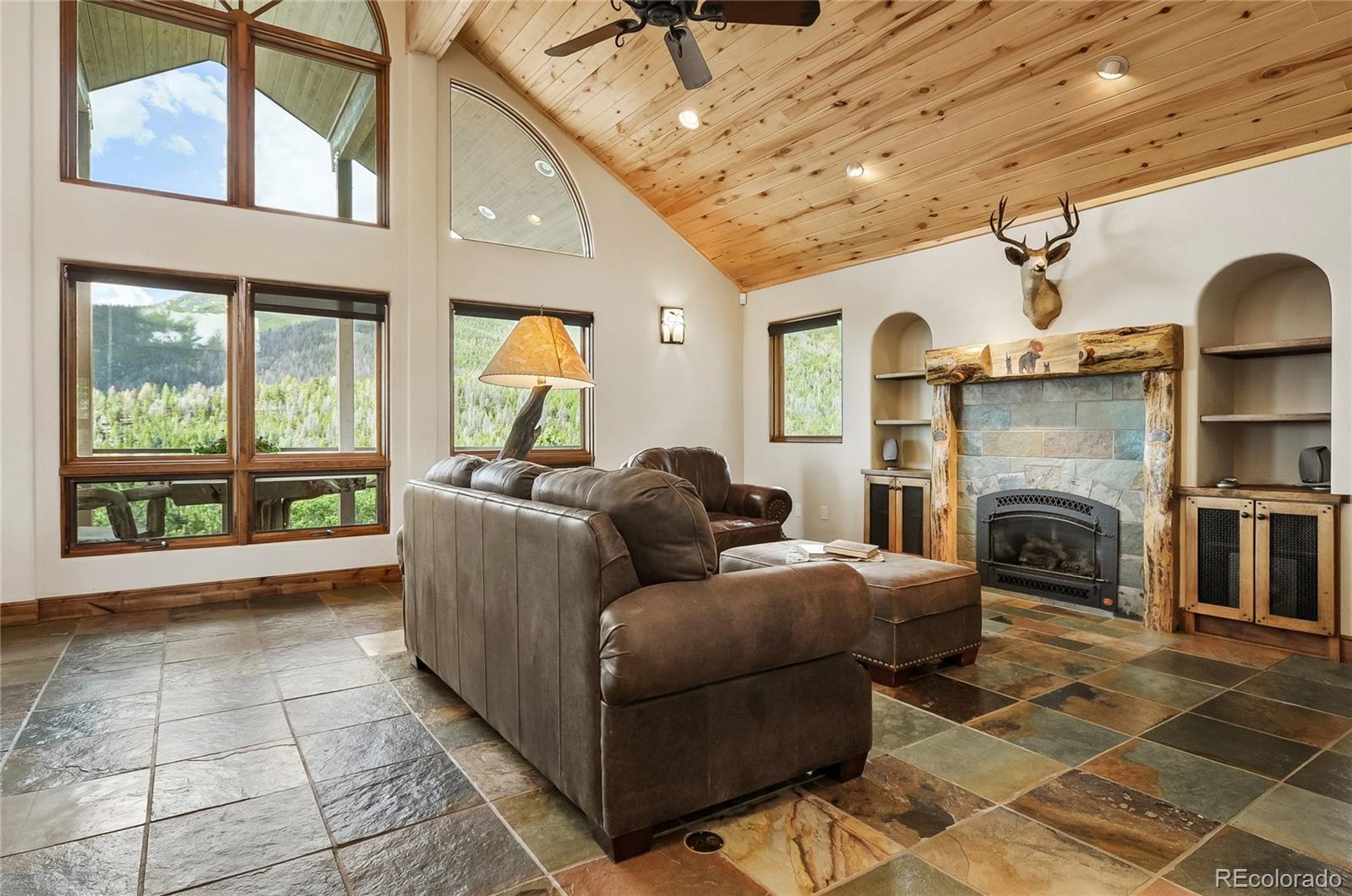 MLS Image #5 for 30043  creek run ,buena vista, Colorado