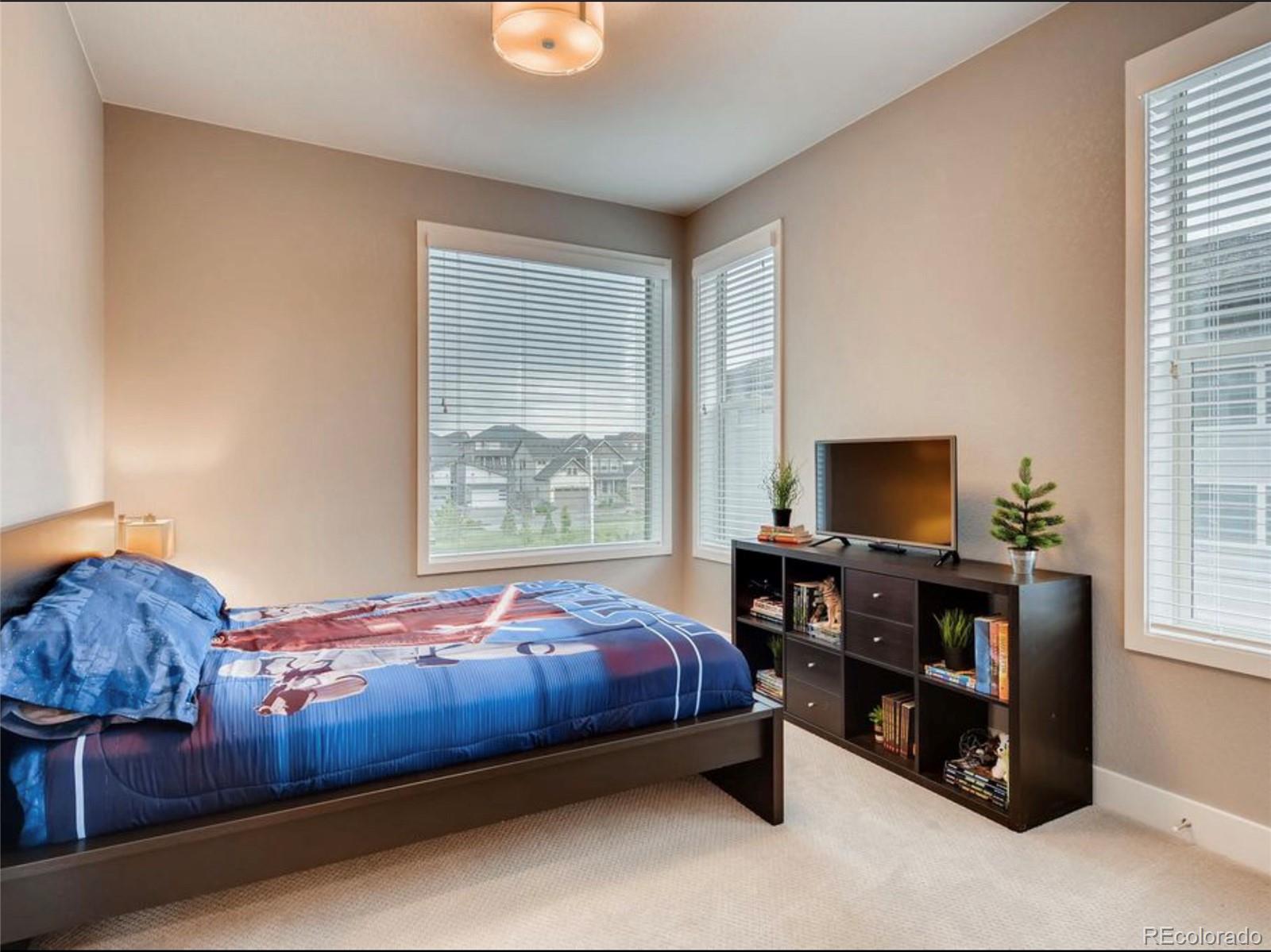 MLS Image #16 for 9761  taylor river circle,littleton, Colorado