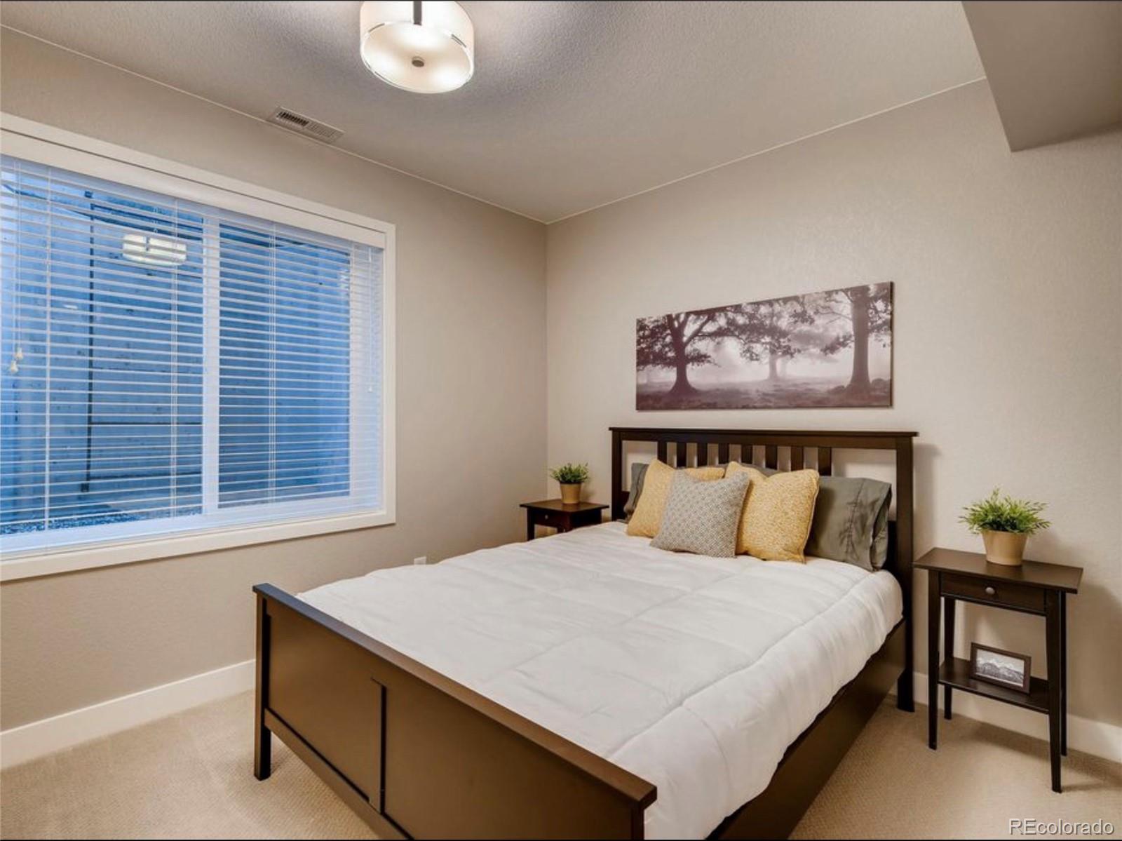 MLS Image #19 for 9761  taylor river circle,littleton, Colorado