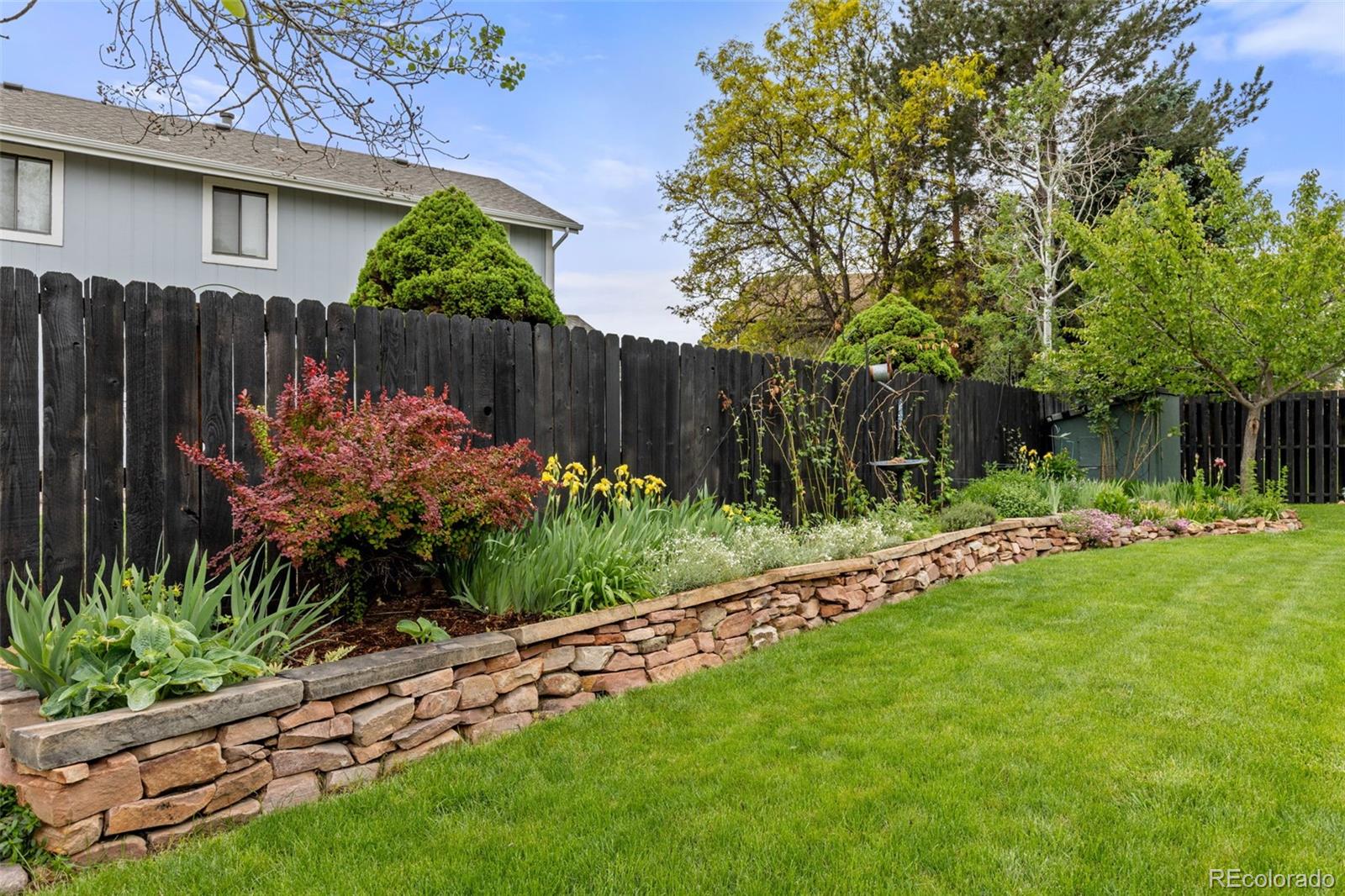 MLS Image #37 for 10742  king street,westminster, Colorado