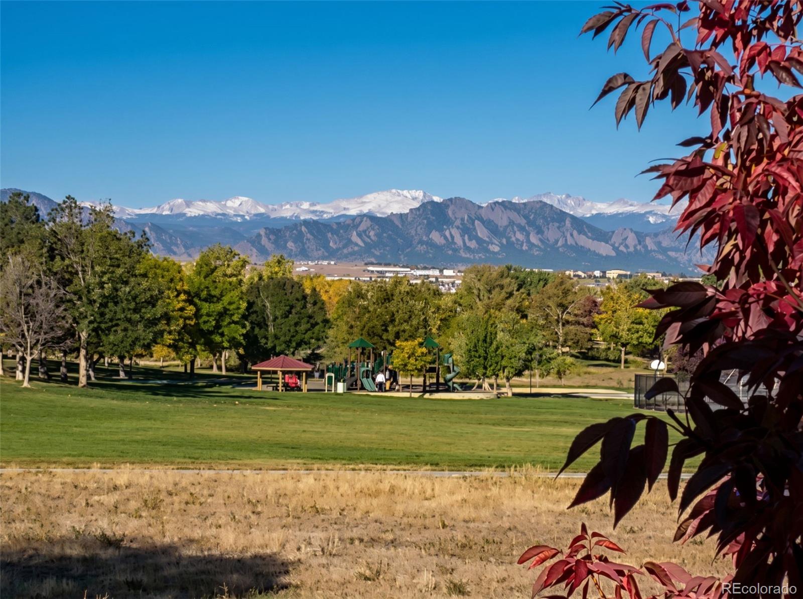 MLS Image #7 for 10742  king street,westminster, Colorado