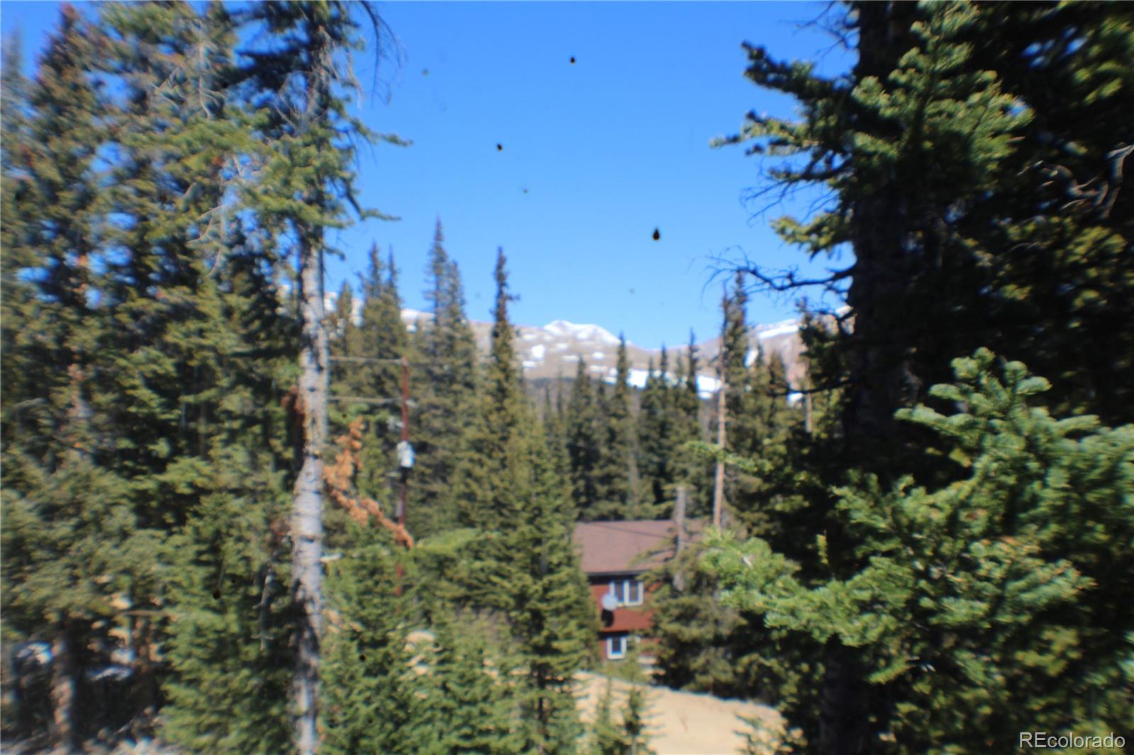 MLS Image #3 for 767  valley of the sun drive,fairplay, Colorado