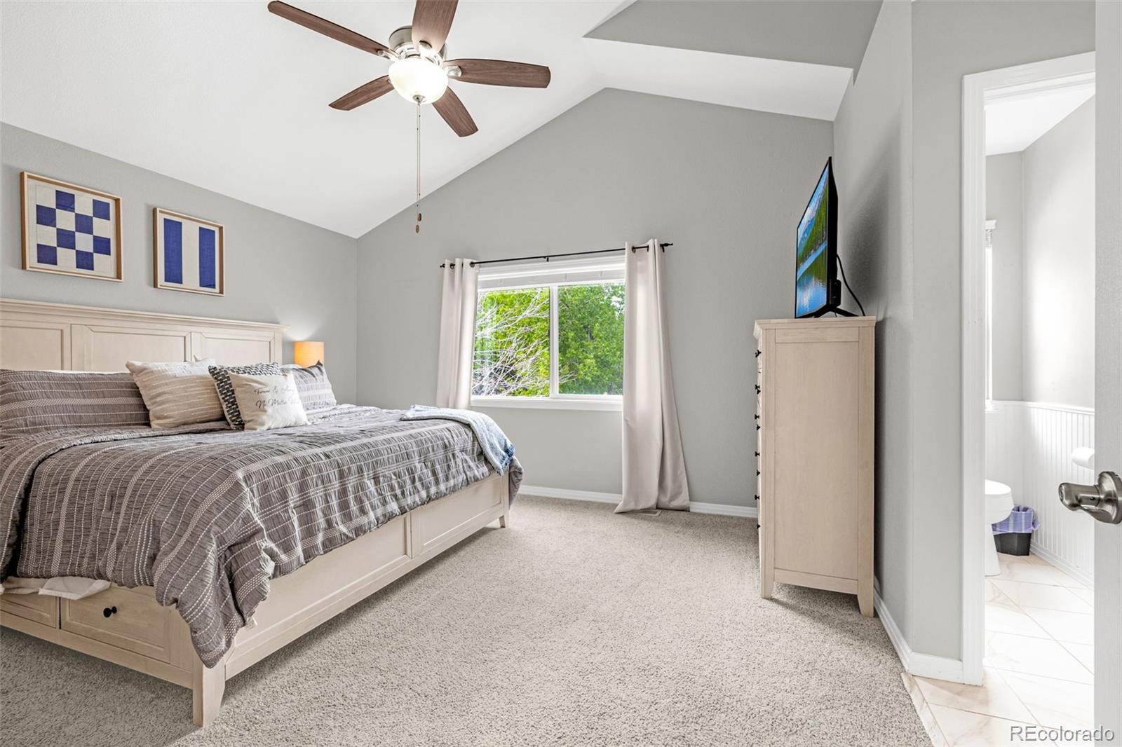 MLS Image #22 for 16128  amber rock court,parker, Colorado