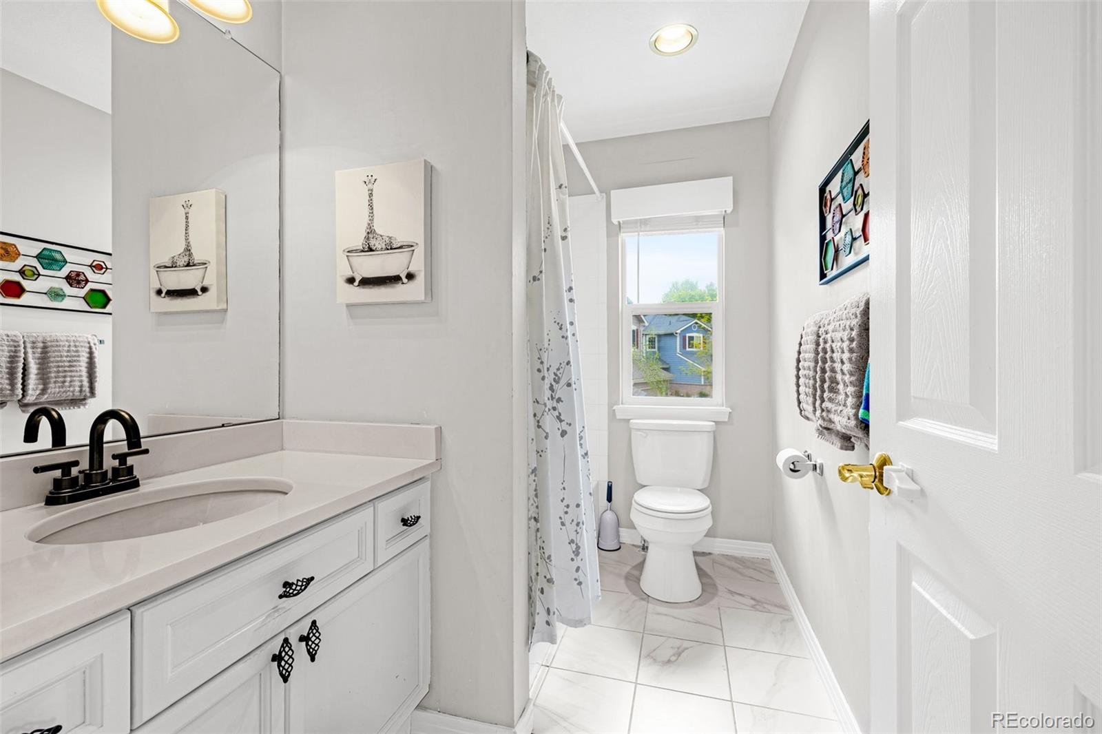 MLS Image #27 for 16128  amber rock court,parker, Colorado